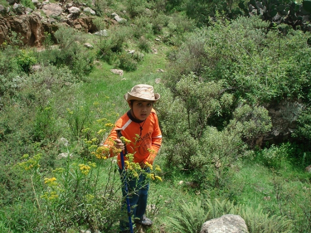 Caminatas para peques